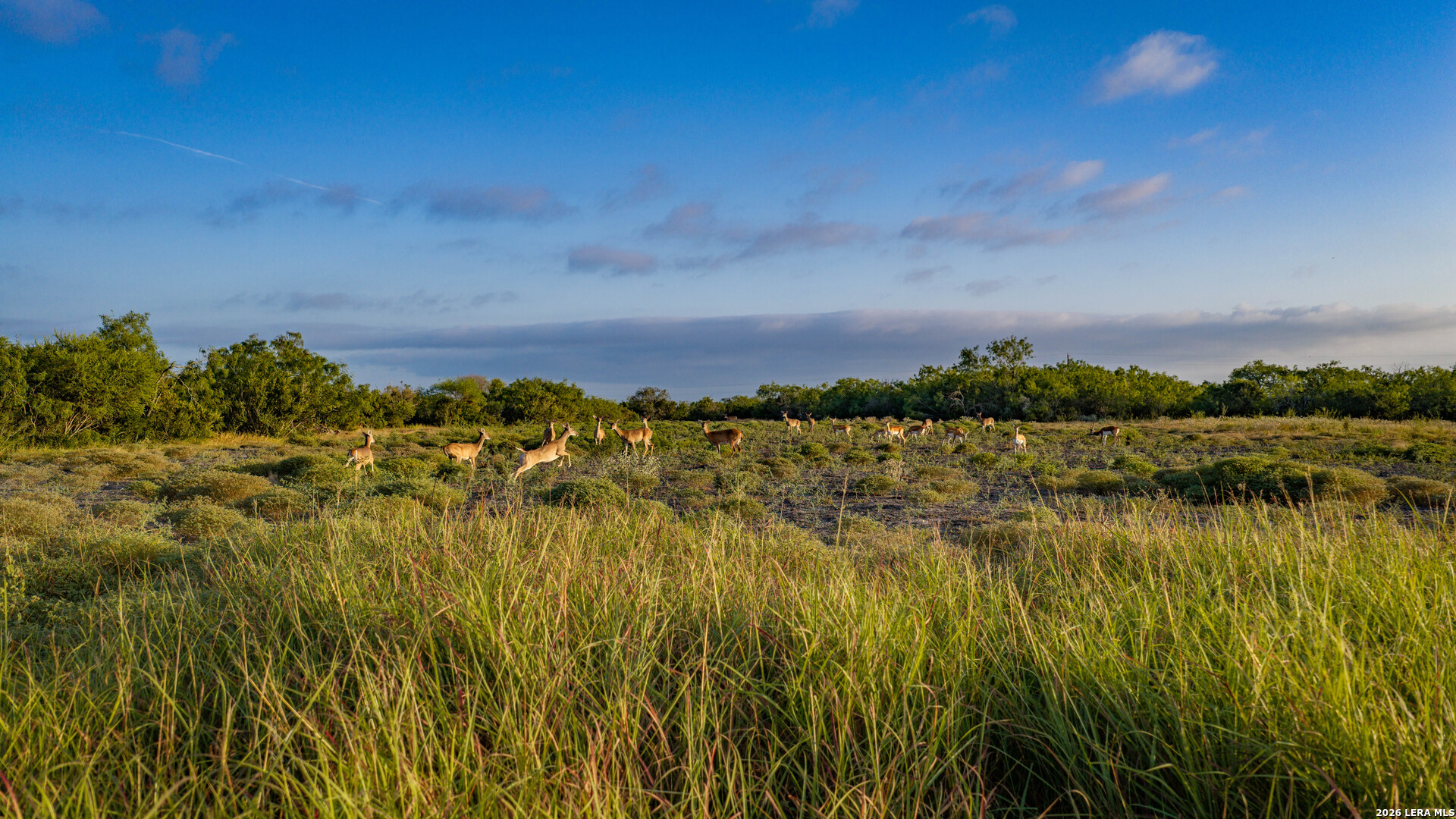 5775 County Road 308 Orange Grove TX 78373