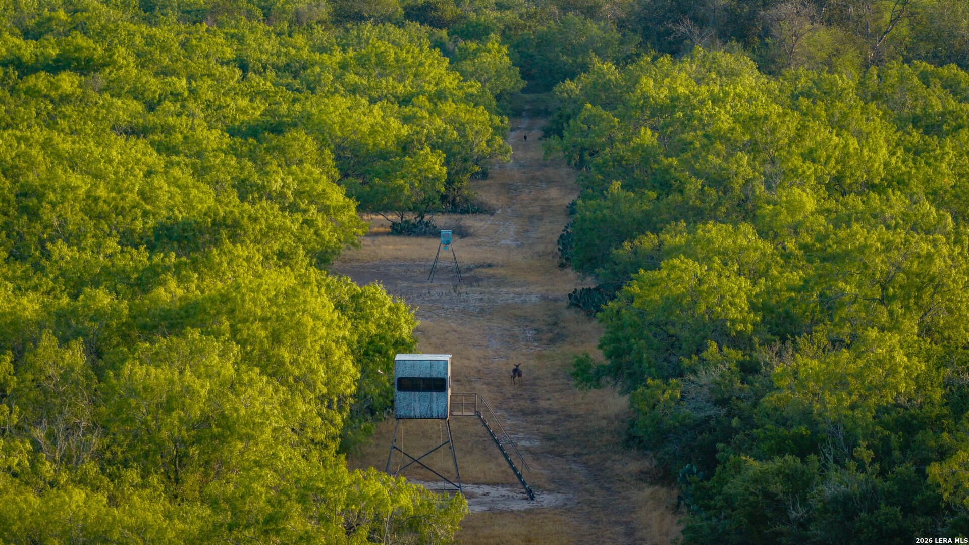 5775 County Road 308 Orange Grove TX 78373