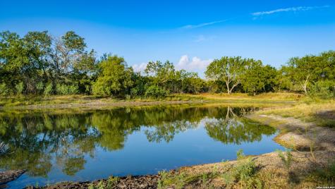 5775 County Road 308 Orange Grove TX 78373