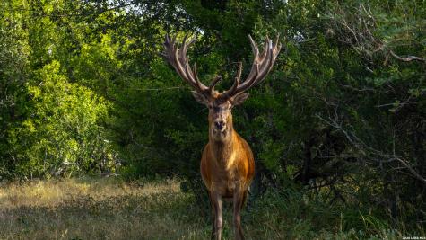 5775 County Road 308 Orange Grove TX 78373