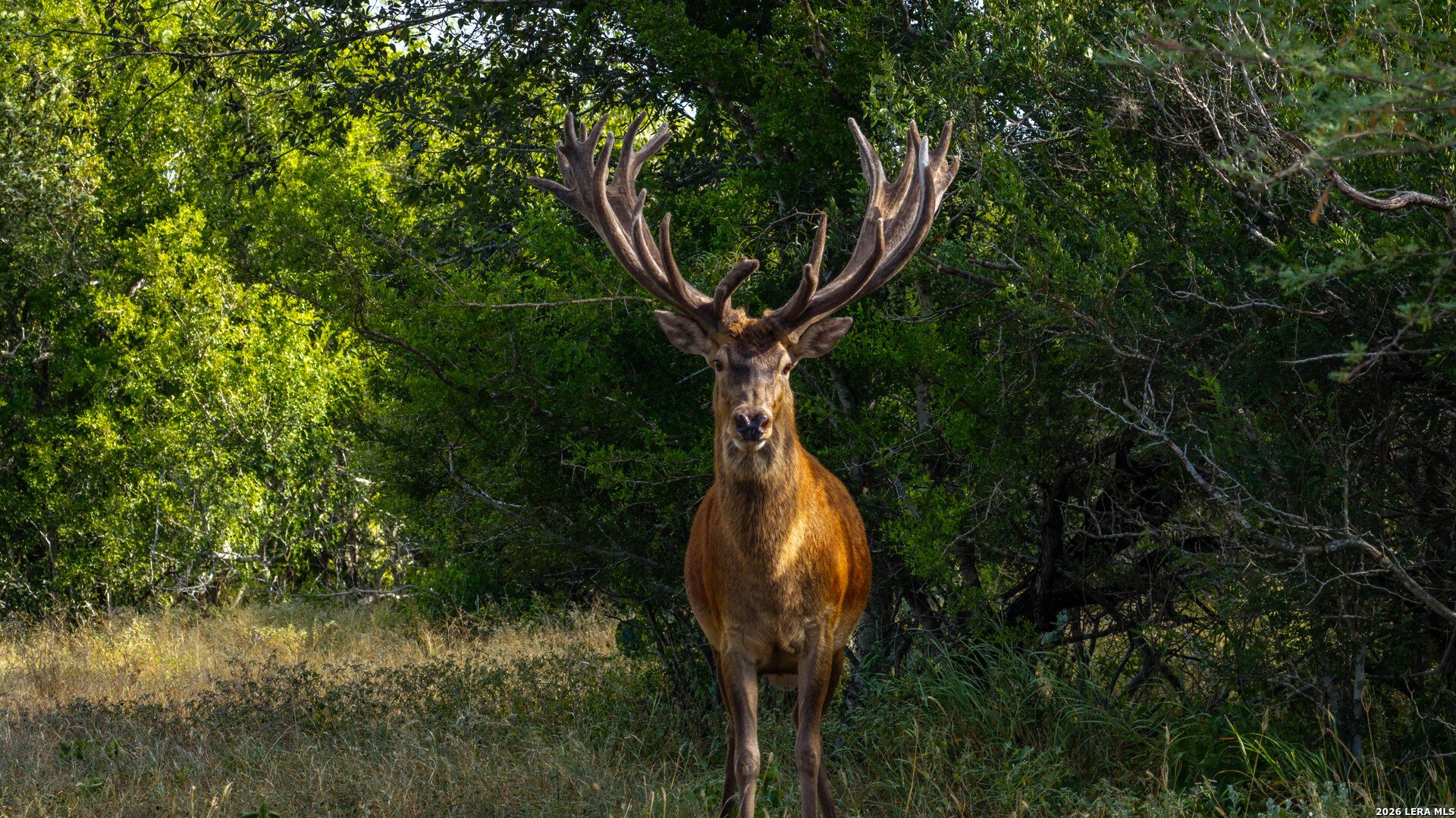 5775 County Road 308 Orange Grove TX 78373