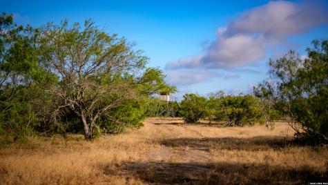 5775 County Road 308 Orange Grove TX 78373