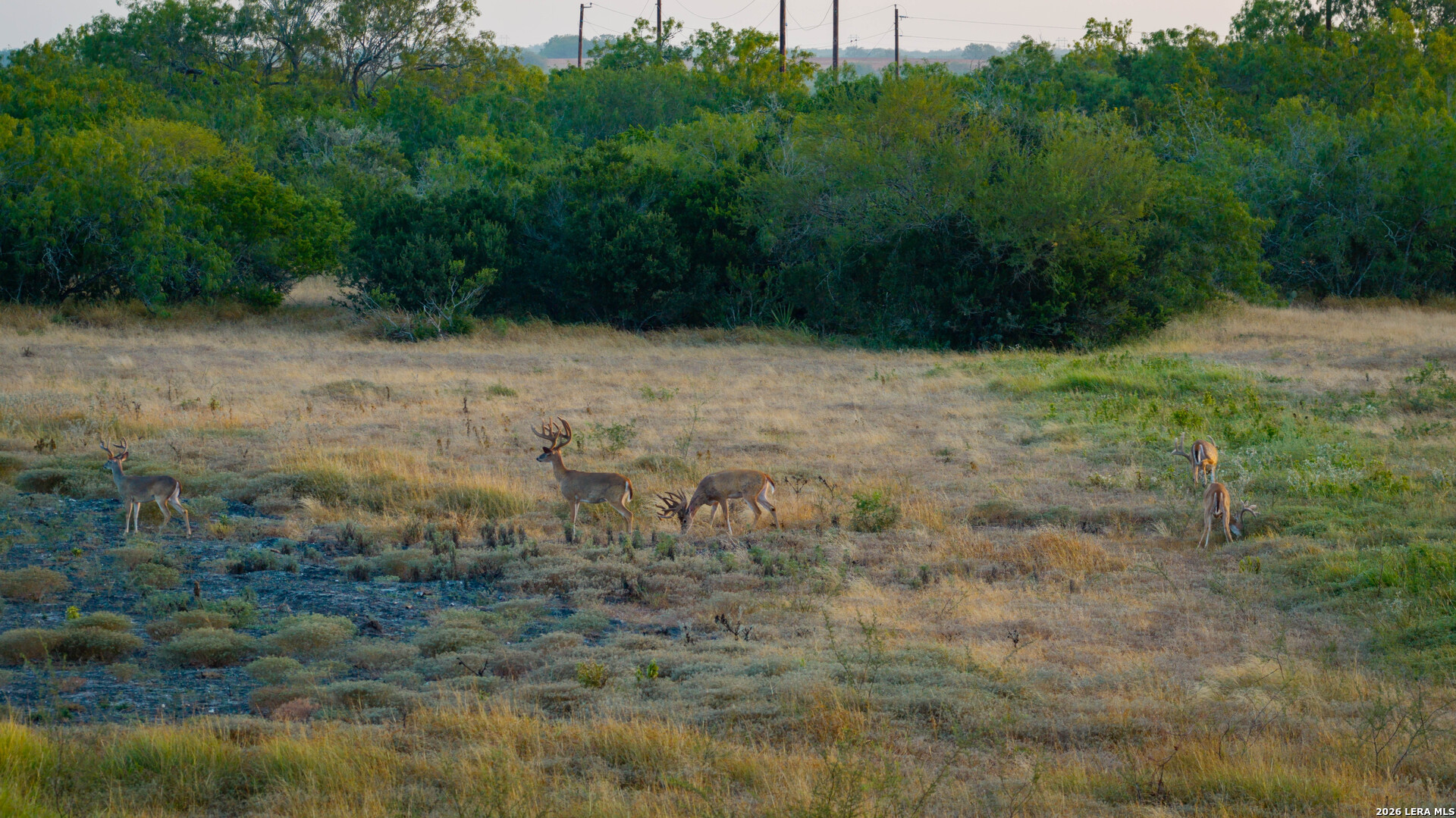 5775 County Road 308 Orange Grove TX 78373
