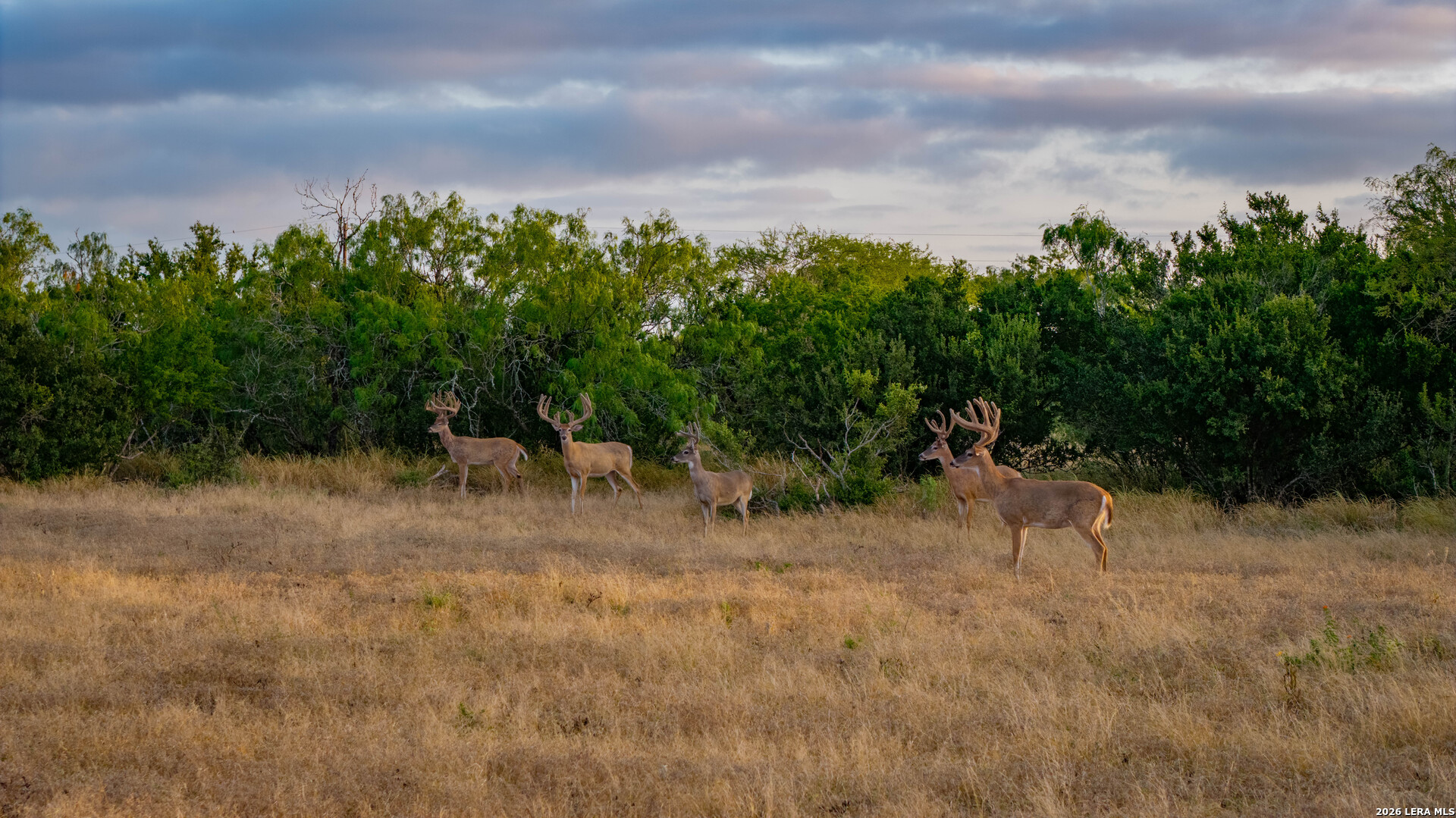 5775 County Road 308 Orange Grove TX 78373