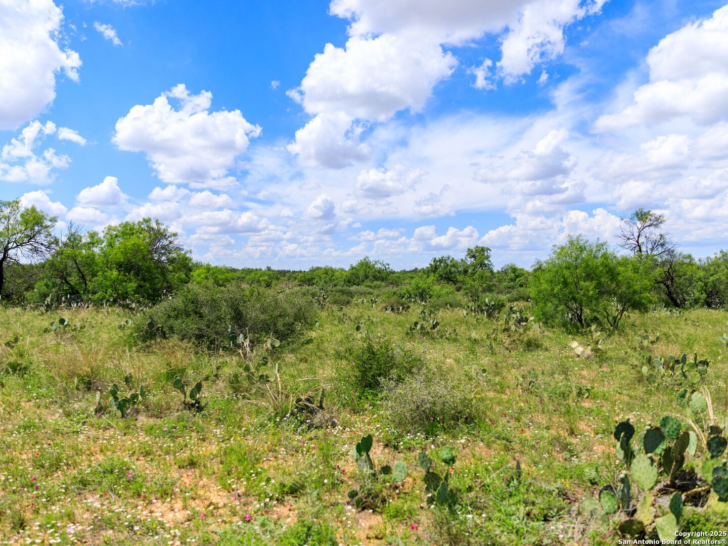 200-236 Fm 3252 Carrizo Springs TX 78836