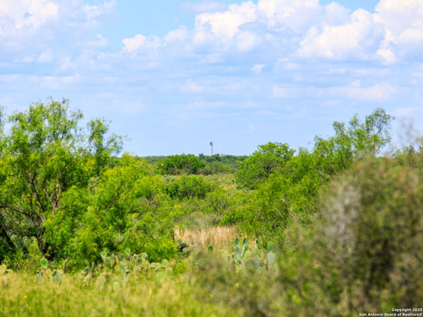 200-236 Fm 3252 Carrizo Springs TX 78836