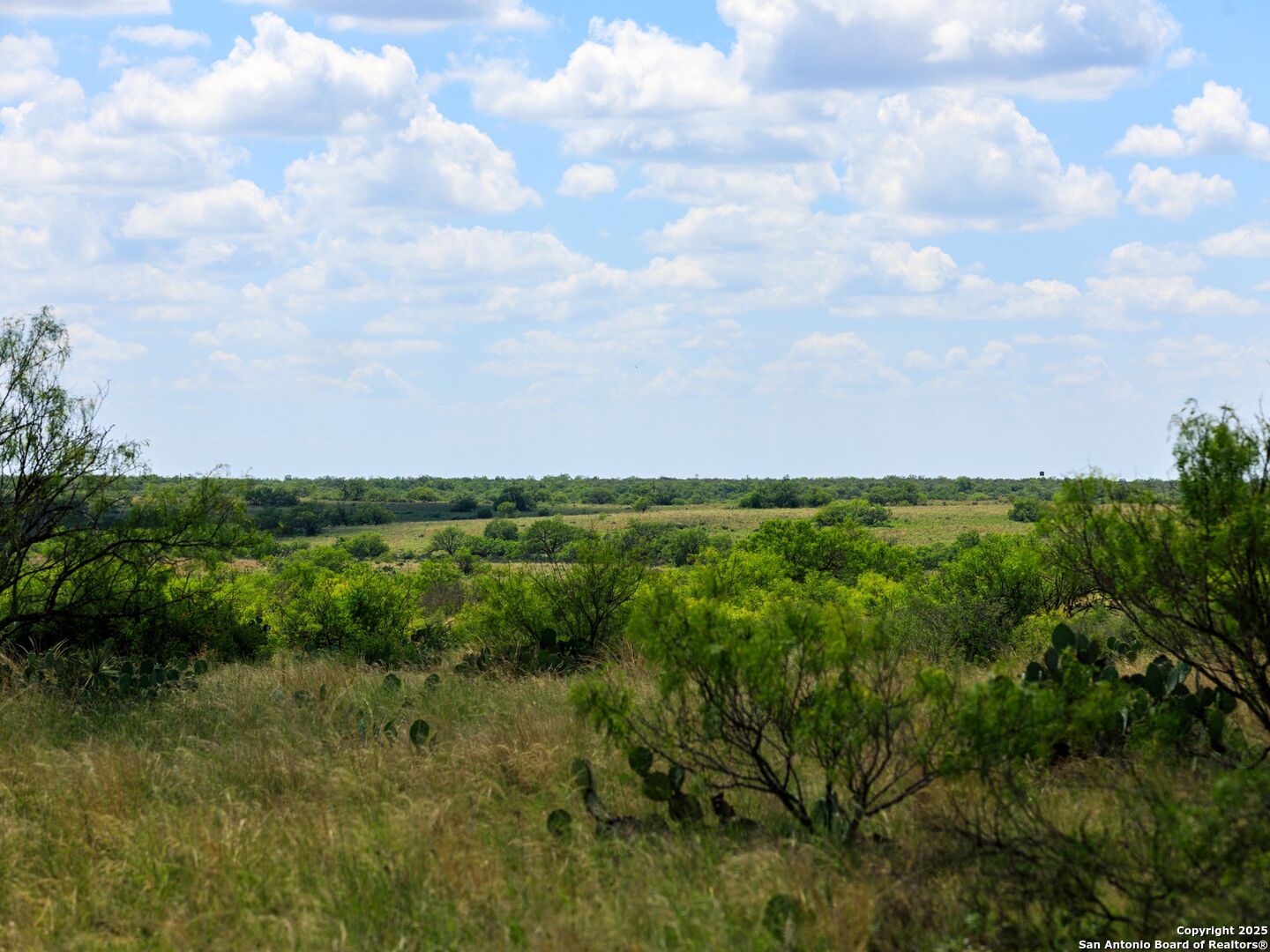 200-236 Fm 3252 Carrizo Springs TX 78836