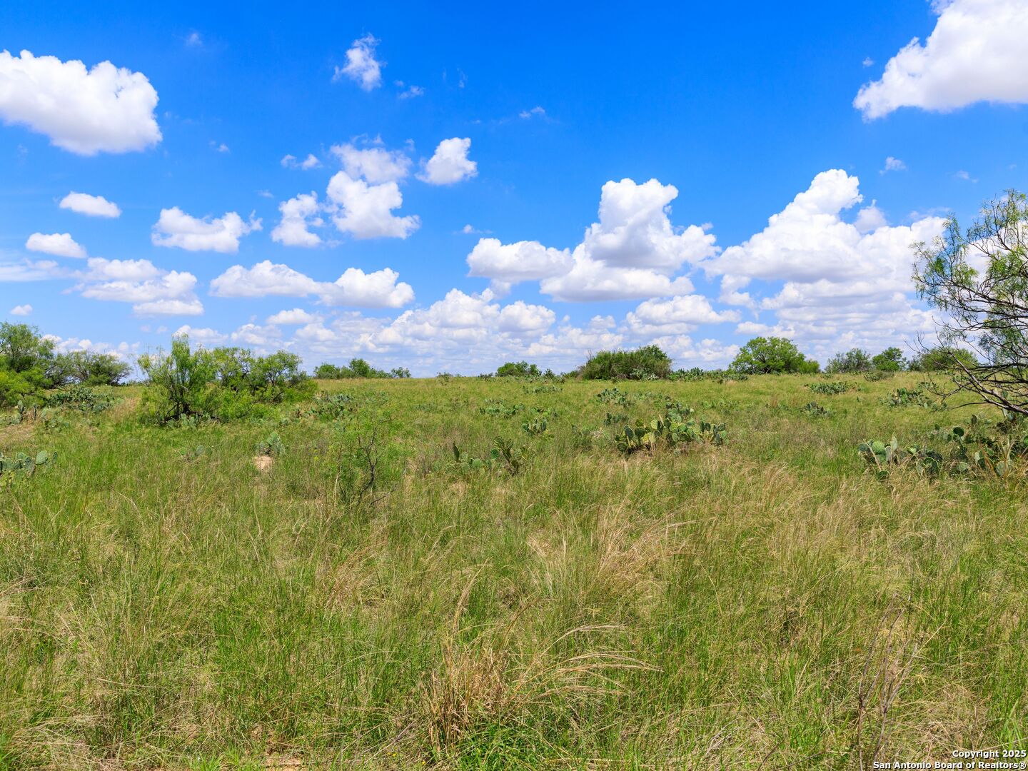 200-236 Fm 3252 Carrizo Springs TX 78836
