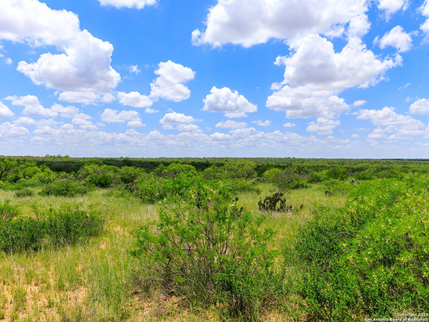 200-236 Fm 3252 Carrizo Springs TX 78836