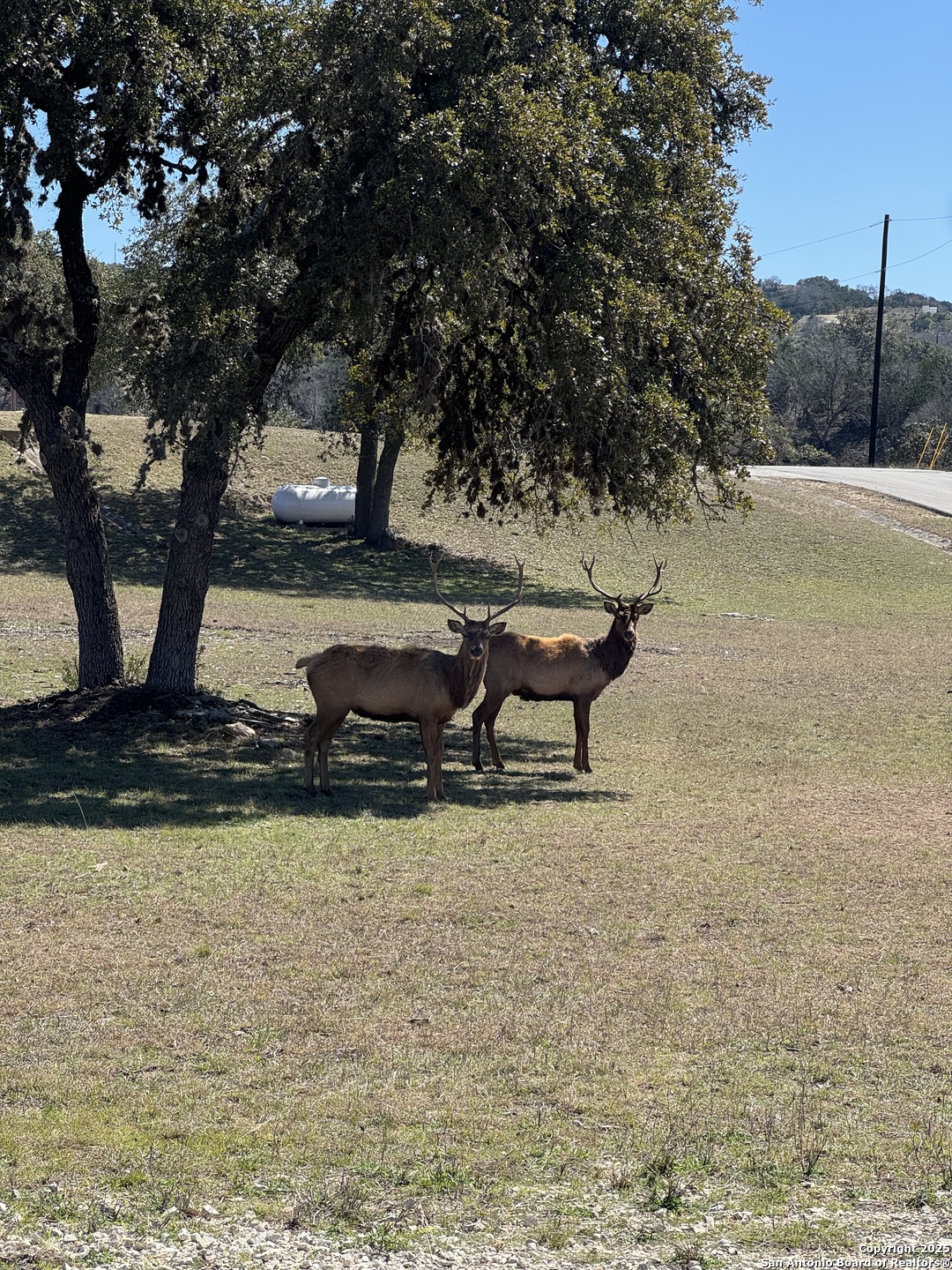 Lot 20 Ringtail Court Pipe Creek TX 78063