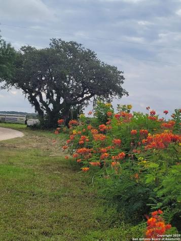 3707 S State Highway 173 N Hondo TX 78861