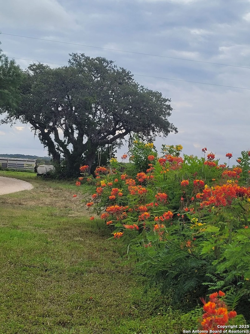 3707 S State Highway 173 N Hondo TX 78861