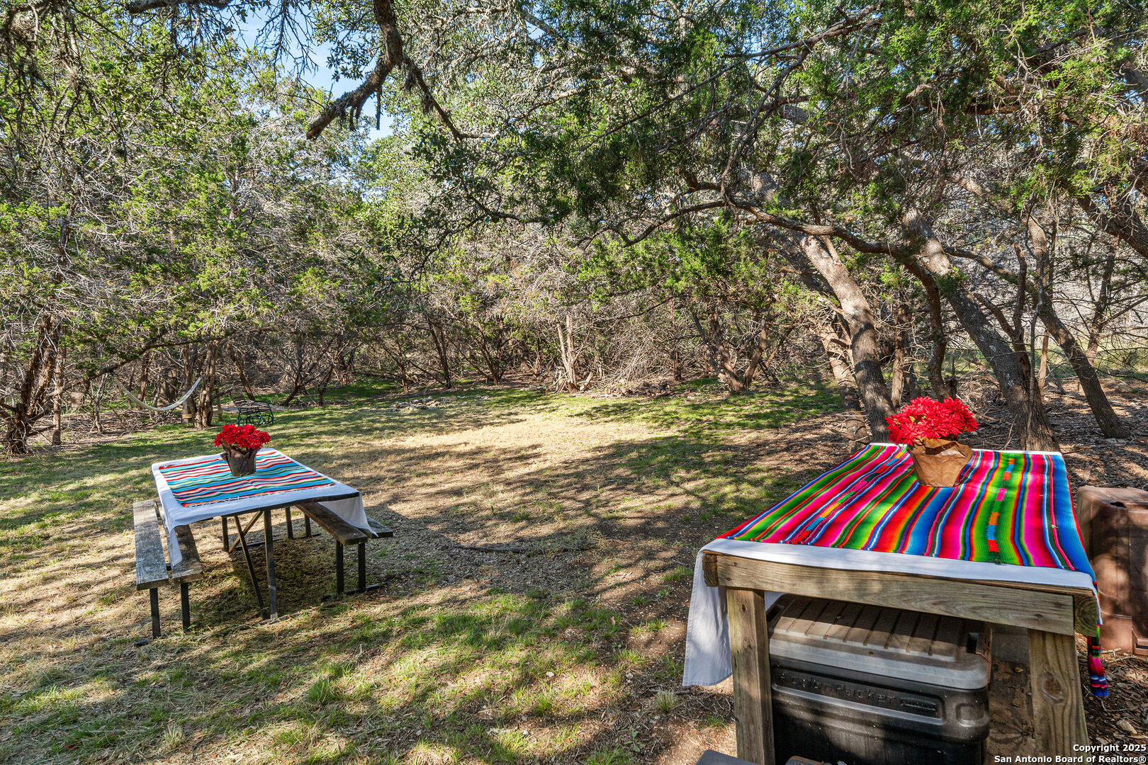 46 Lewis Boerne TX 78006