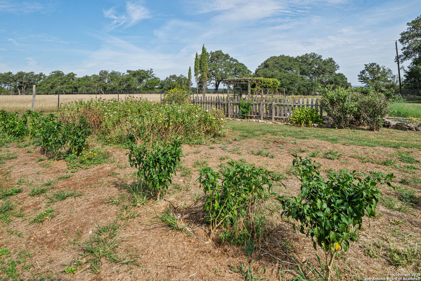 46 Lewis Boerne TX 78006