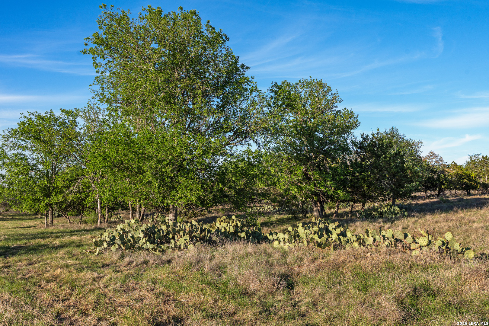 0020 Clearwater Comfort TX 78013
