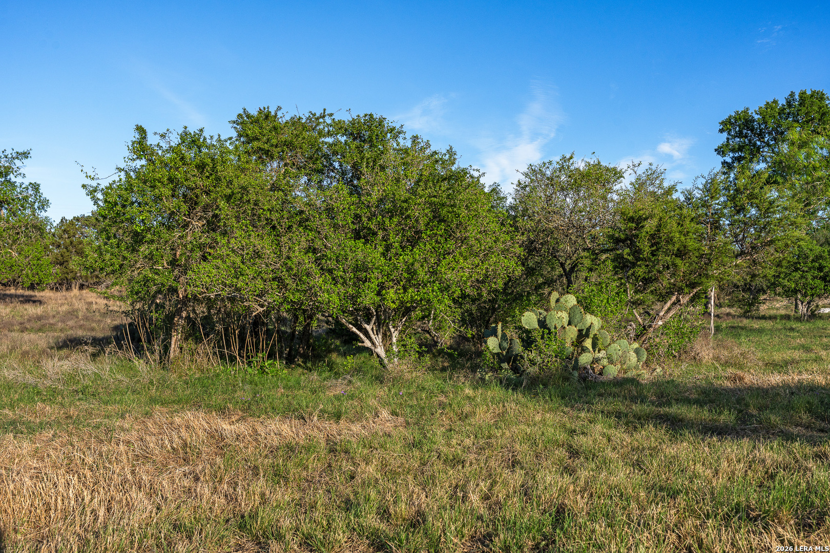 0020 Clearwater Comfort TX 78013