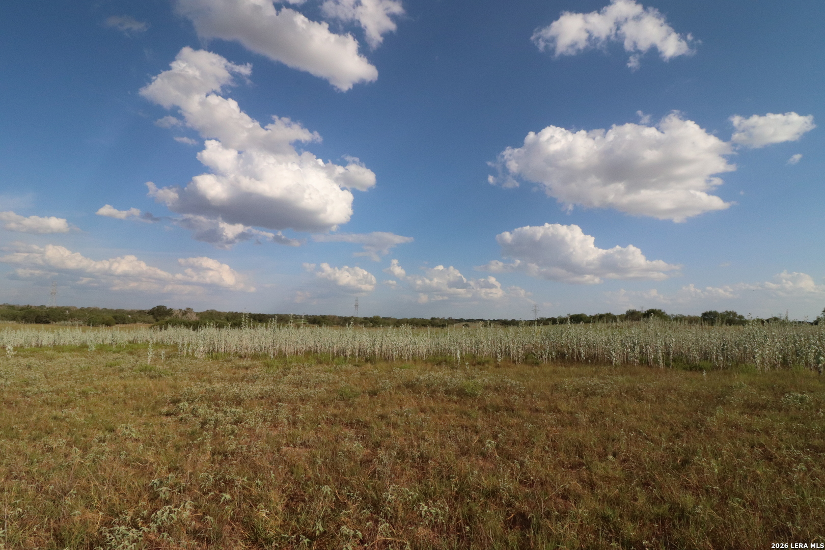 5668 State Highway 97 Floresville TX 78114
