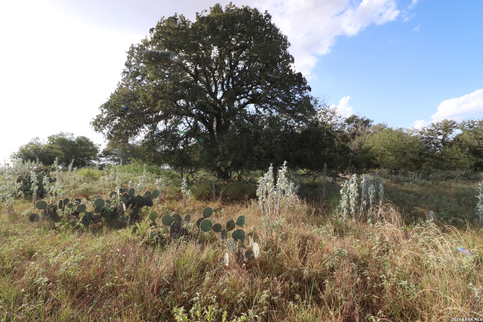 5668 State Highway 97 Floresville TX 78114