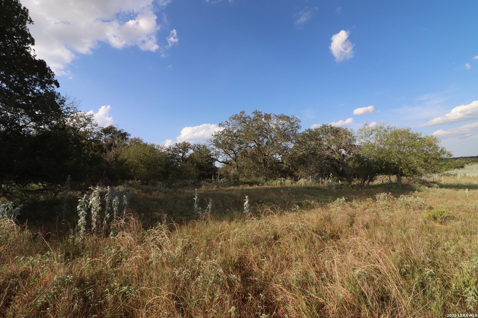 5668 State Highway 97 Floresville TX 78114