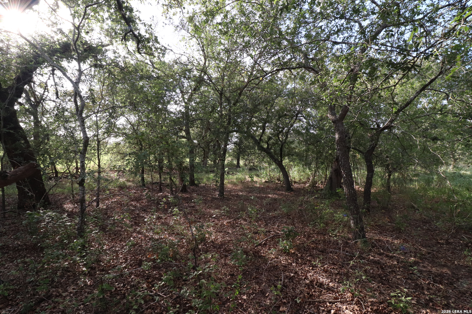 5668 State Highway 97 Floresville TX 78114