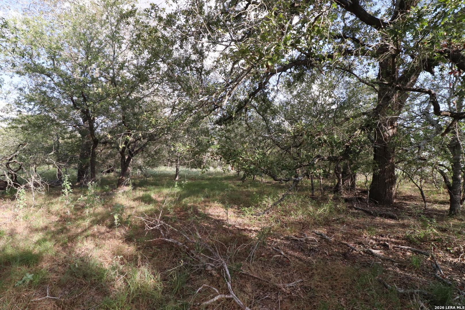 5668 State Highway 97 Floresville TX 78114