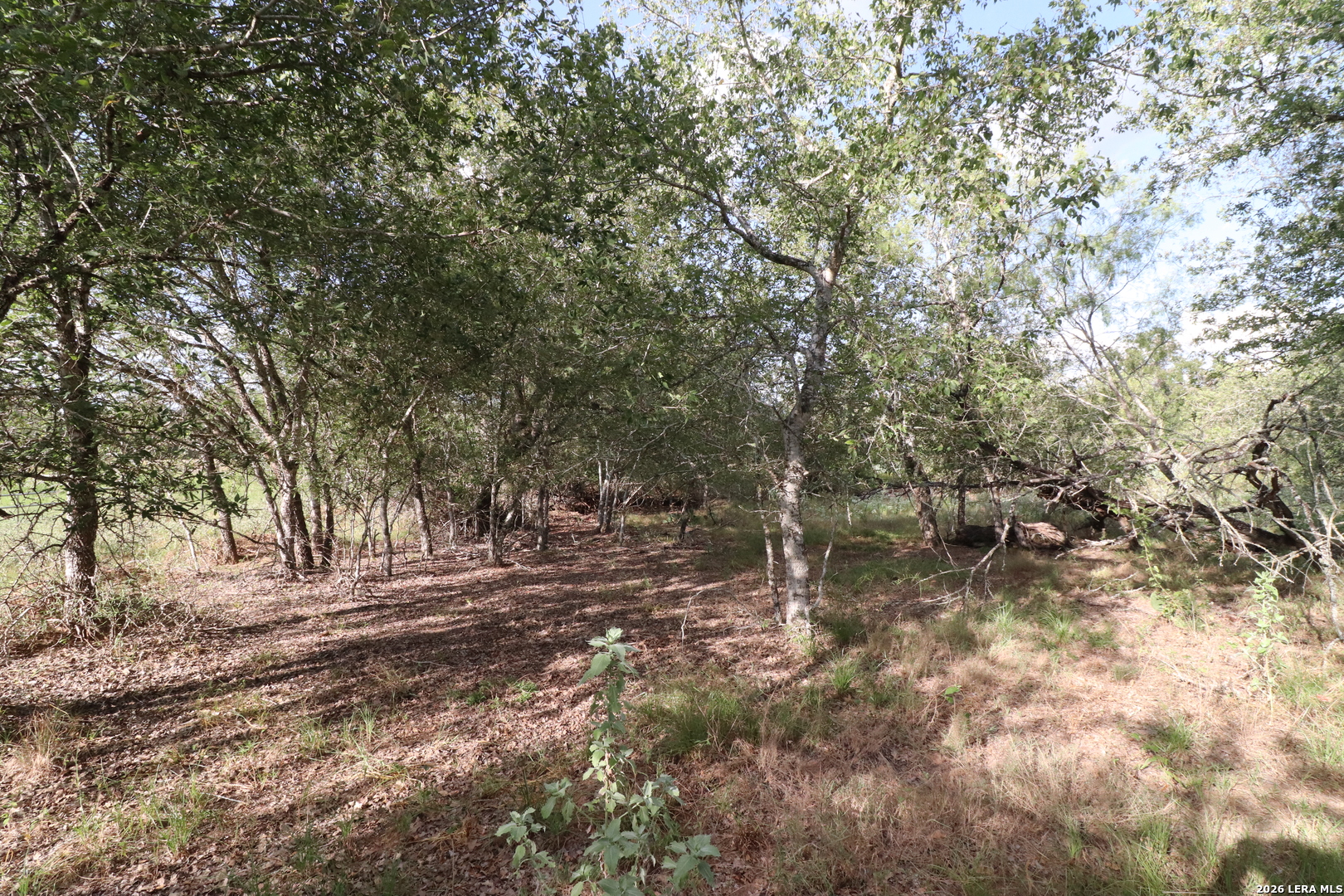 5668 State Highway 97 Floresville TX 78114