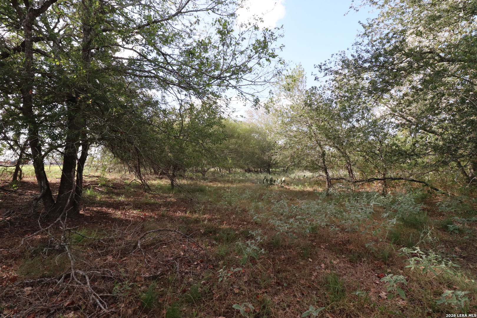 5668 State Highway 97 Floresville TX 78114
