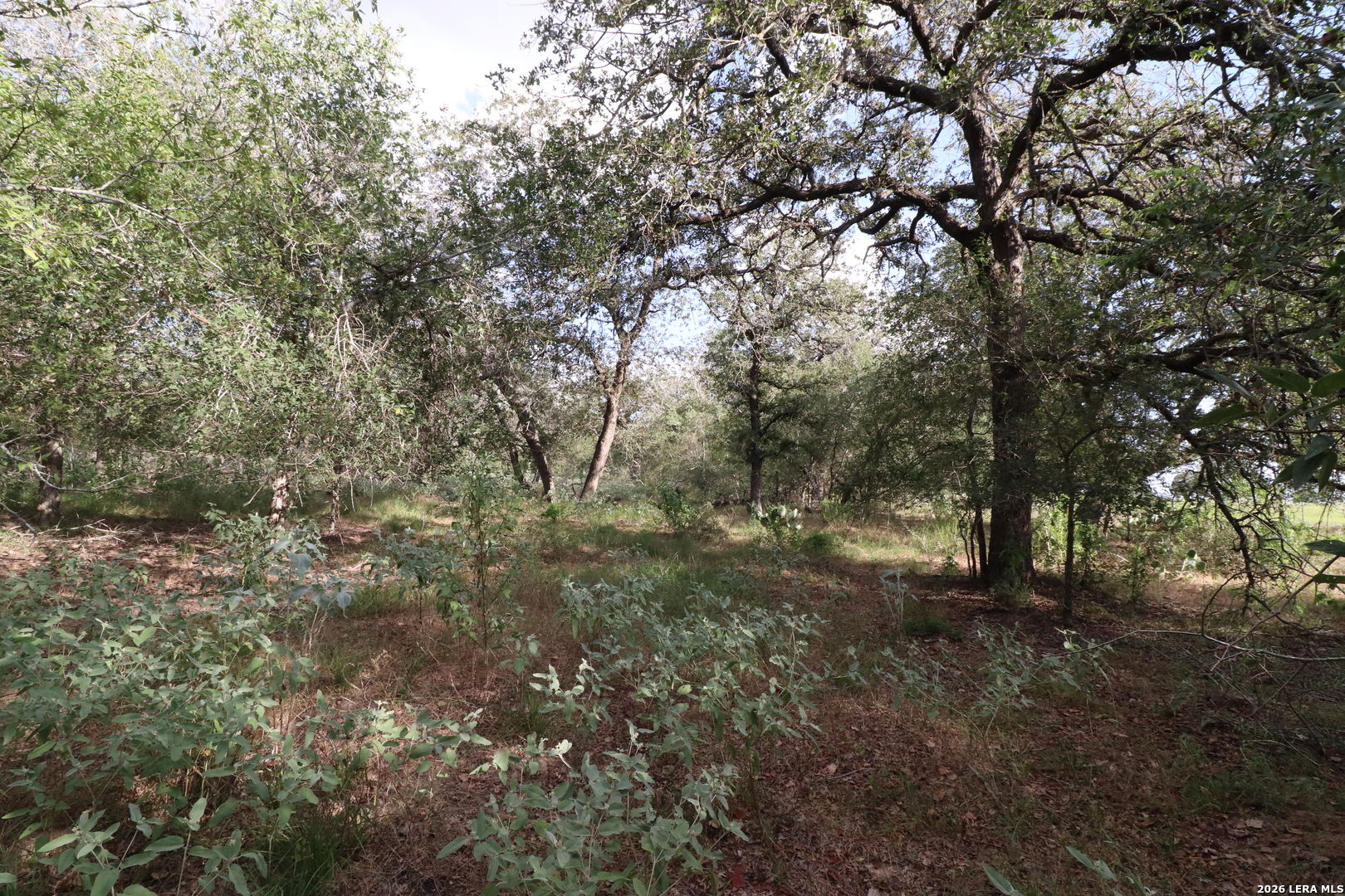 5668 State Highway 97 Floresville TX 78114