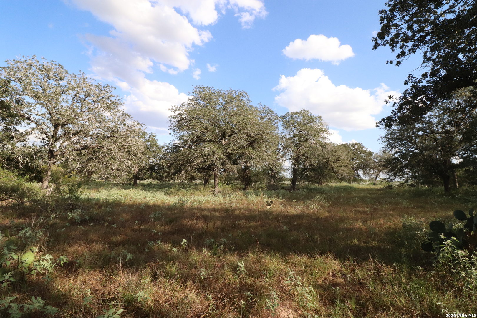 5668 State Highway 97 Floresville TX 78114