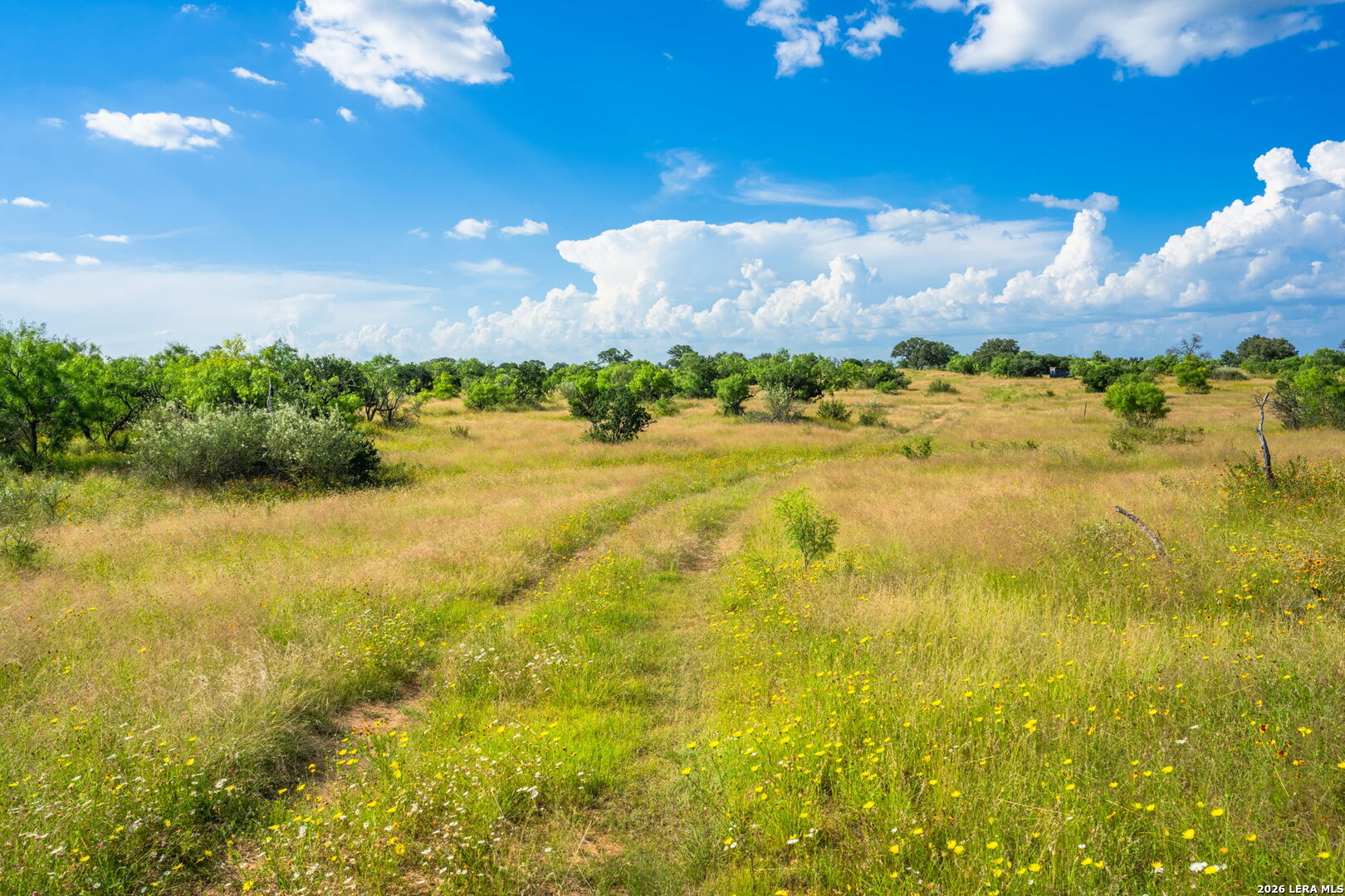 0 County Road 106 Llano TX 78643
