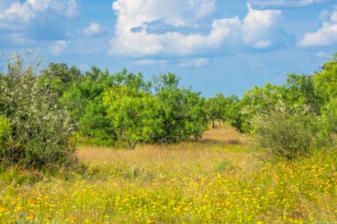 0 County Road 106 Llano TX 78643