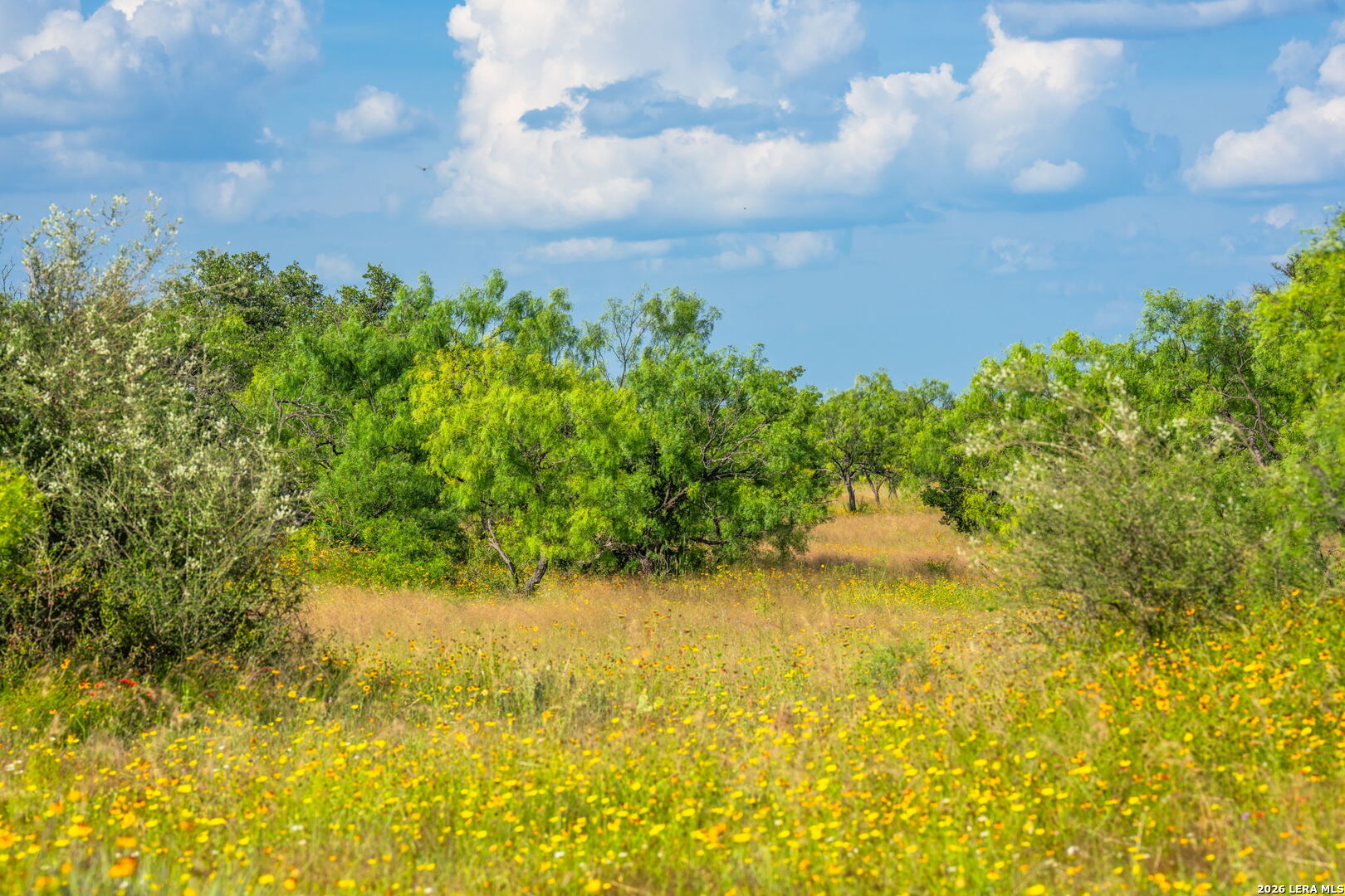 0 County Road 106 Llano TX 78643
