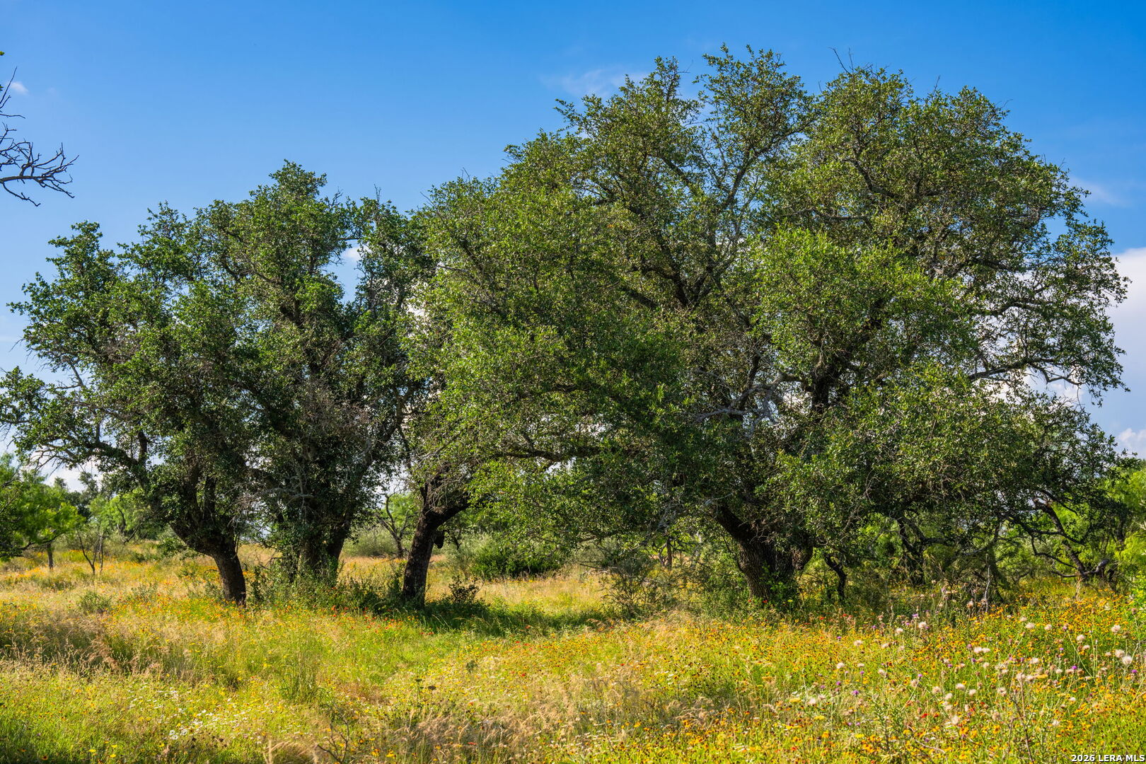 0 County Road 106 Llano TX 78643