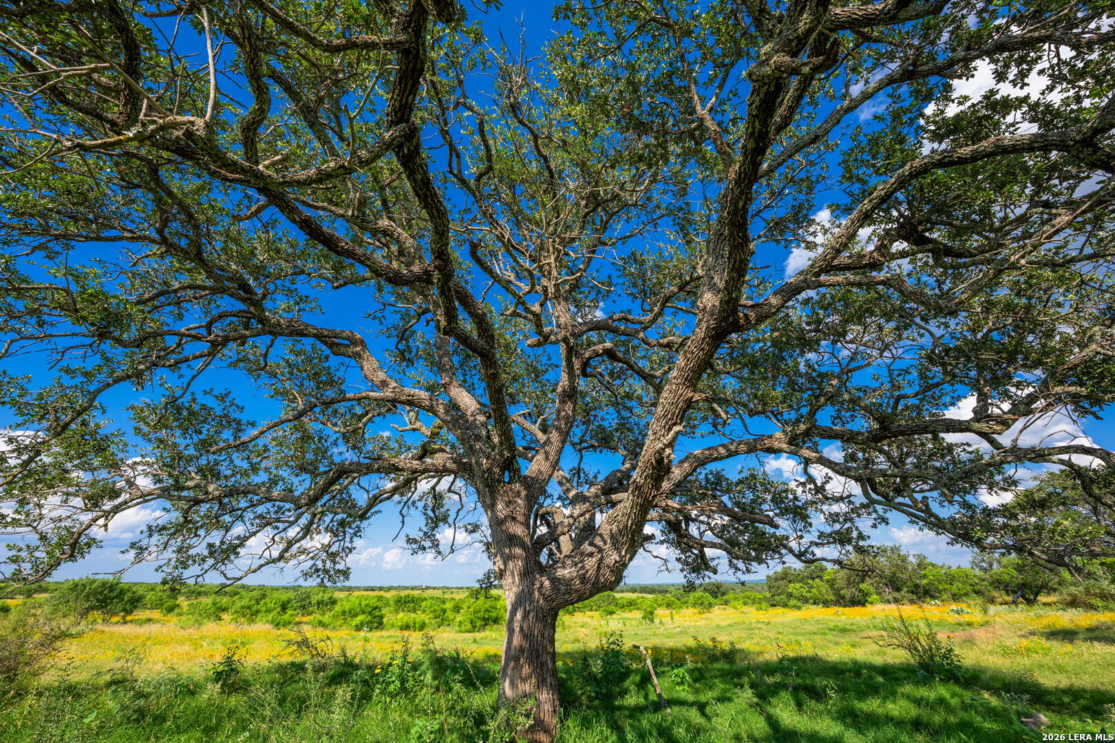 0 County Road 106 Llano TX 78643
