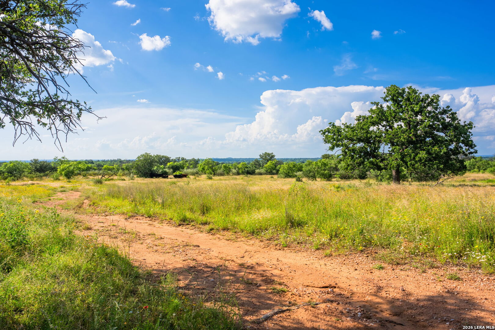 0 County Road 106 Llano TX 78643