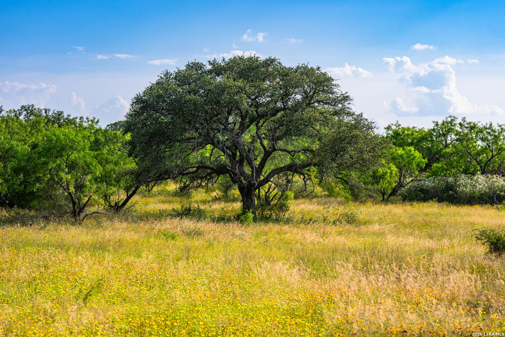 0 County Road 106 Llano TX 78643