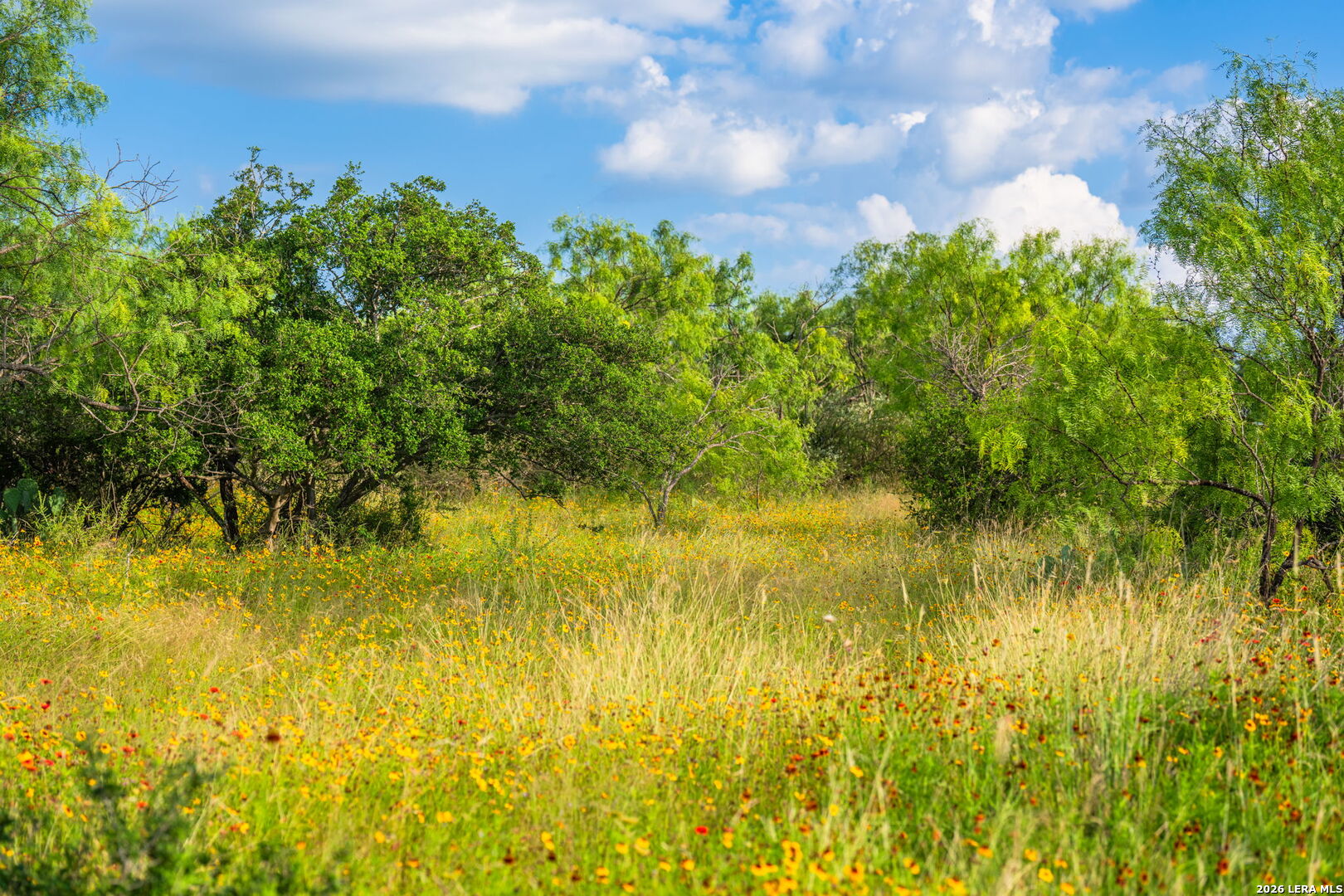 0 County Road 106 Llano TX 78643
