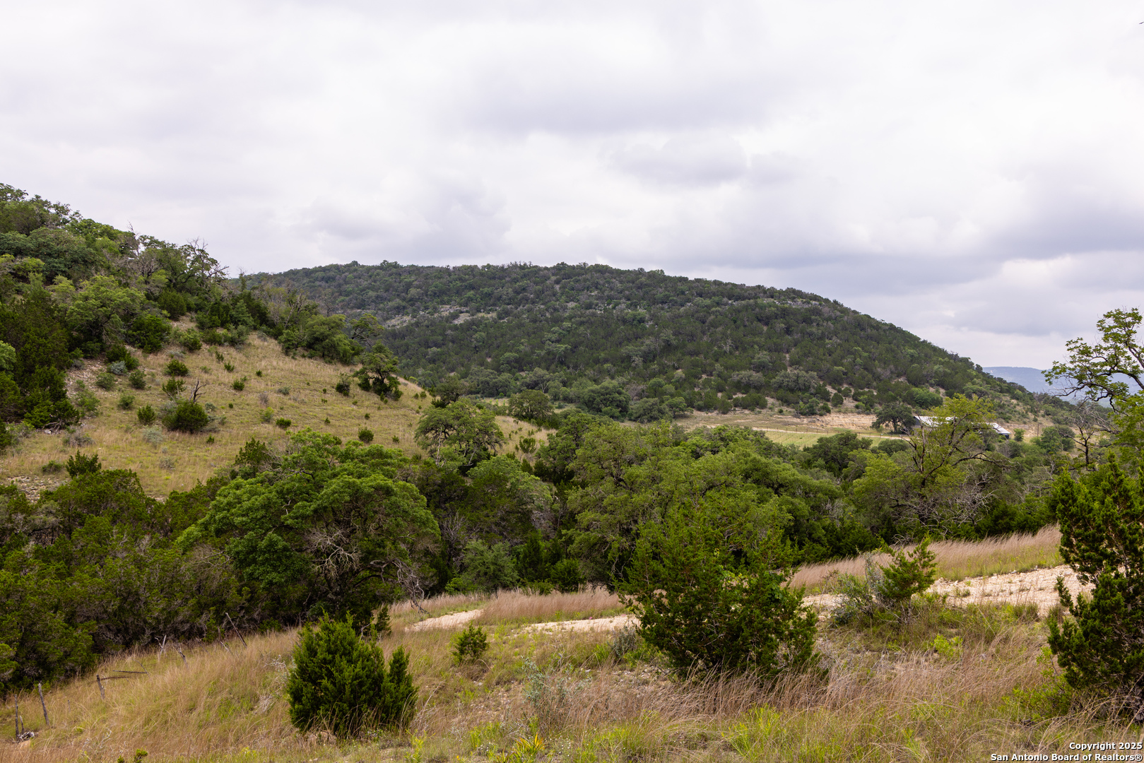 1616 Mickle Creek Medina TX 78055