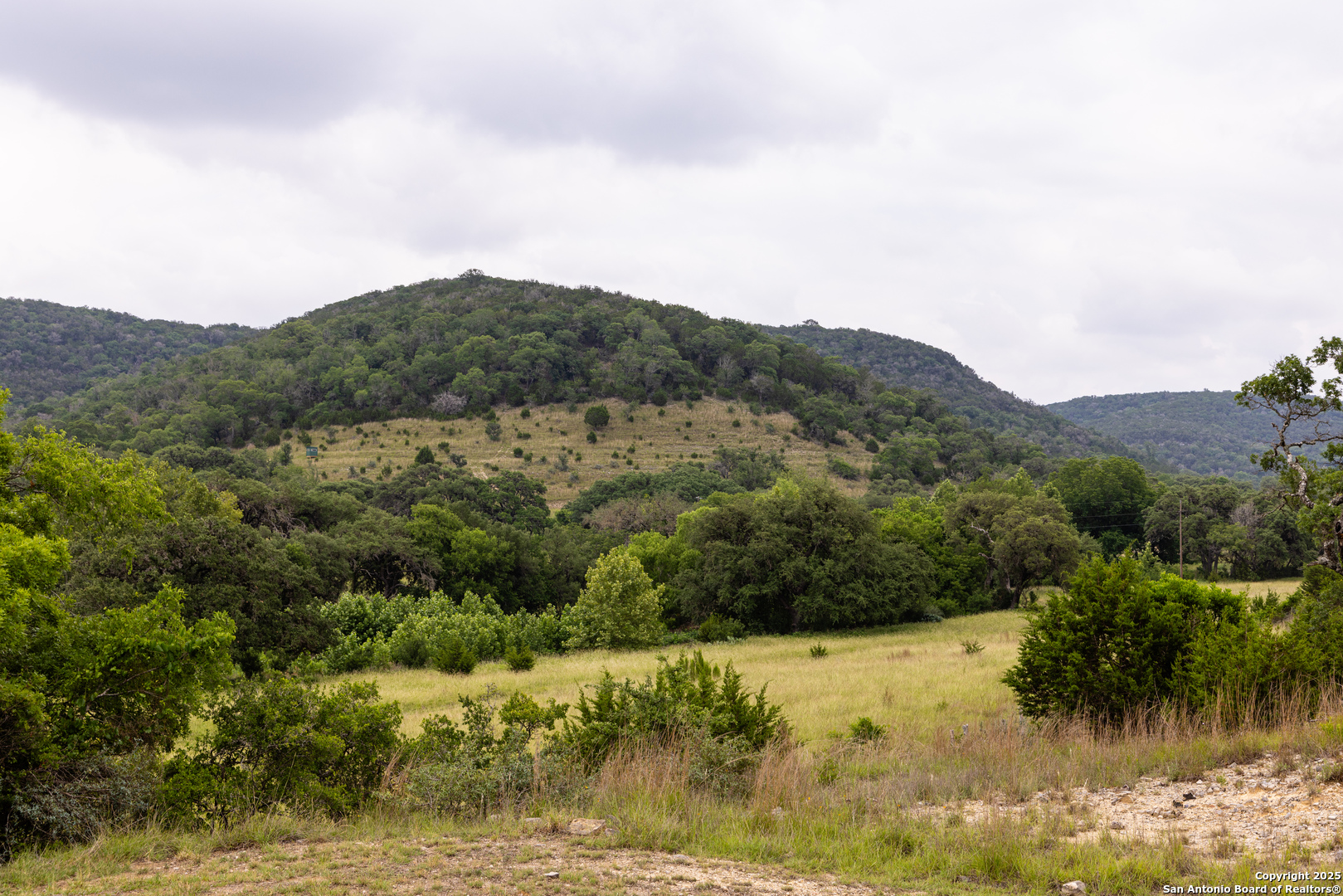 1616 Mickle Creek Medina TX 78055