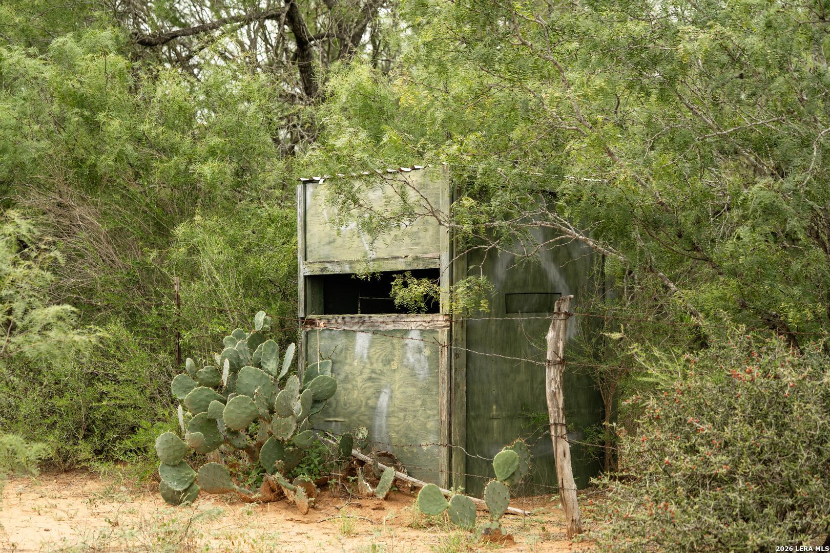 466_476 Cr 7421 Yancey TX 78886