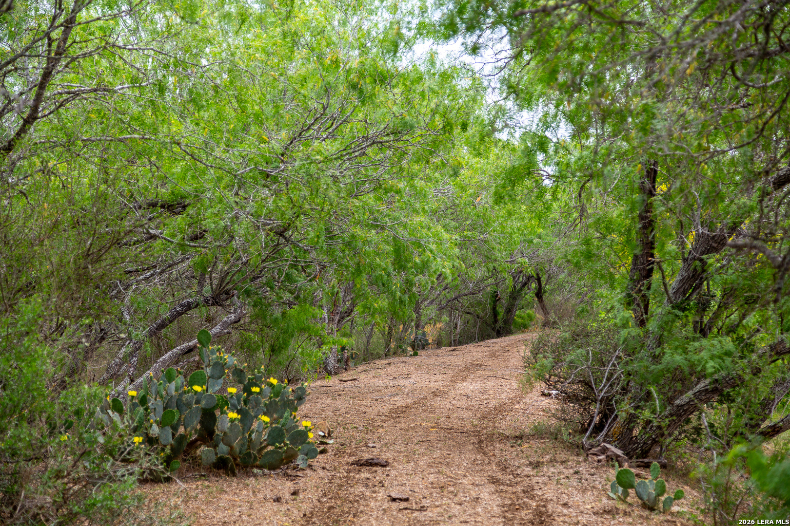 1277 County Road 138 Floresville TX 78114