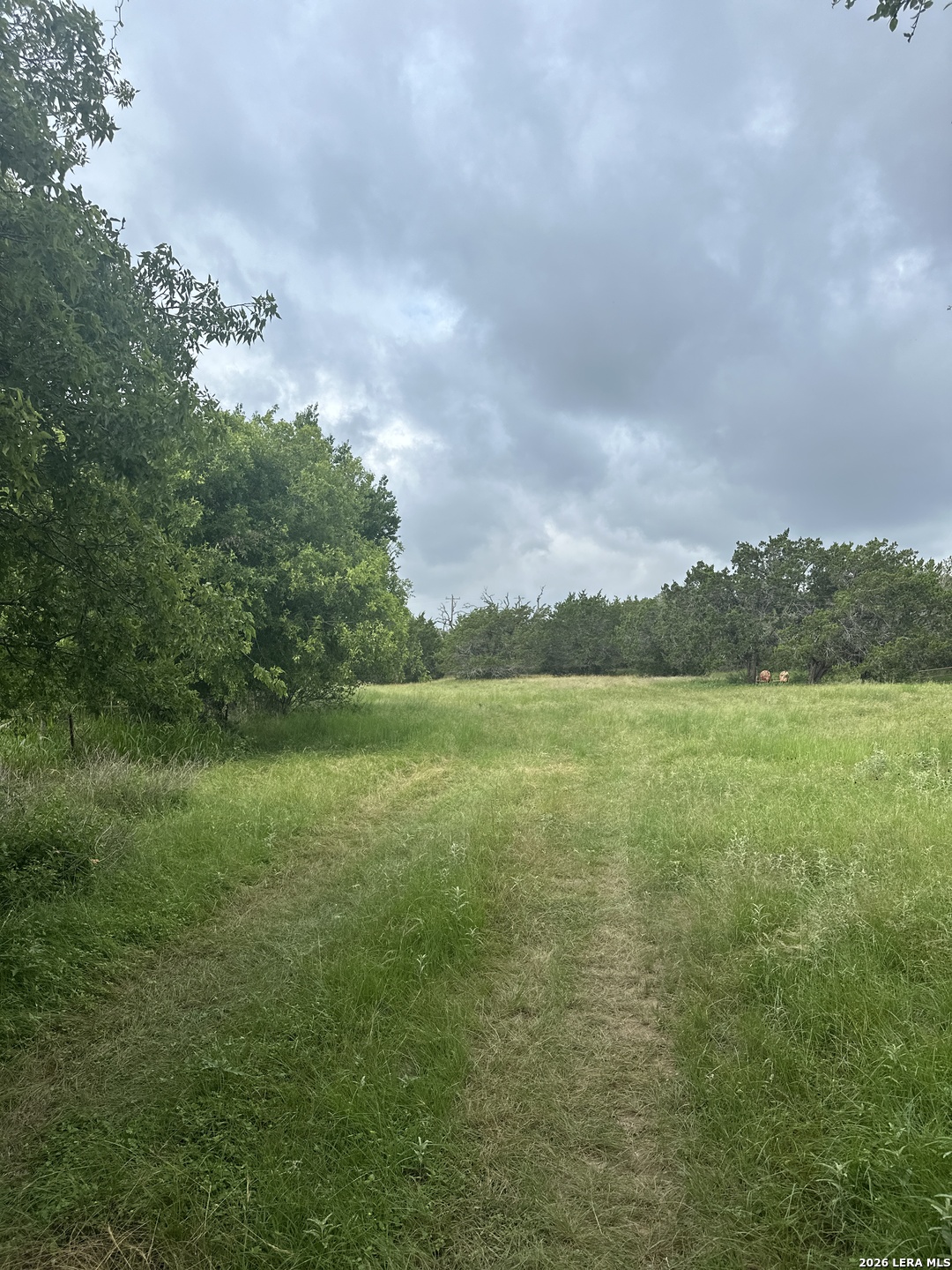 9 Sky Line Drive Comfort TX 78013