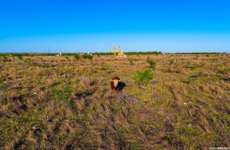 1444 County Road 210 Floresville TX 78114