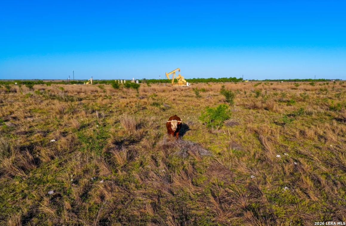 1444 County Road 210 Floresville TX 78114