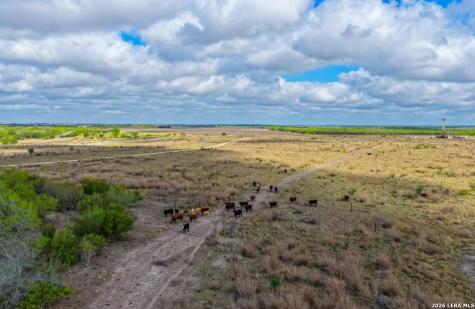 1444 County Road 210 Floresville TX 78114
