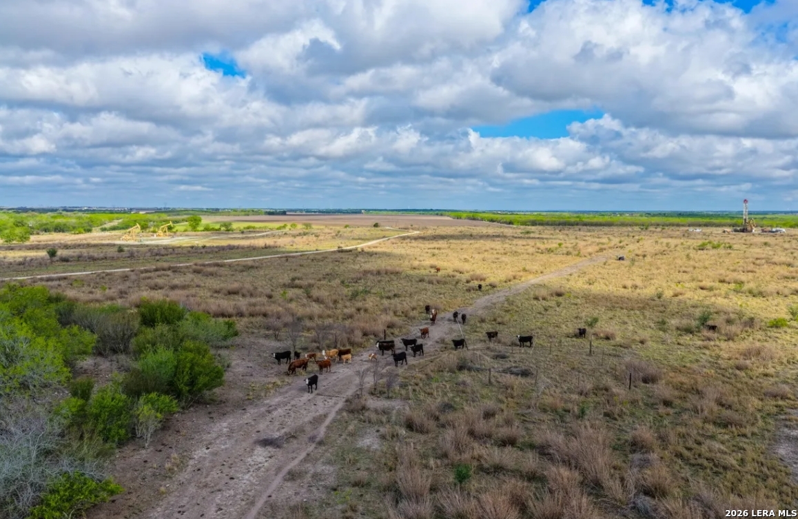 1444 County Road 210 Floresville TX 78114