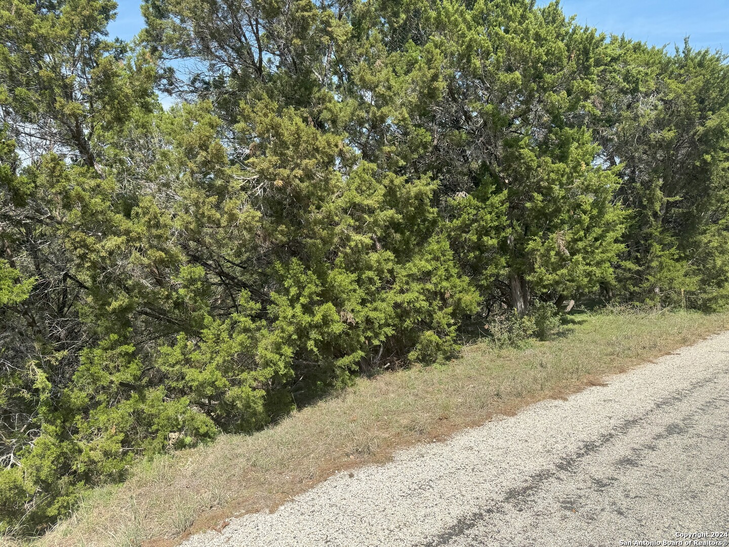 397 Cedar Drive Canyon Lake TX 78133