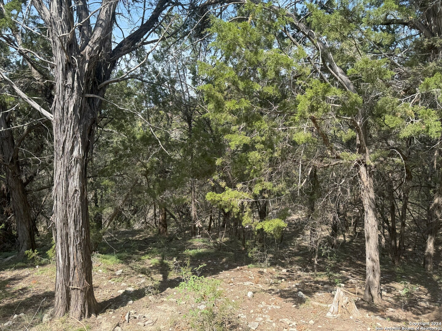 397 Cedar Drive Canyon Lake TX 78133