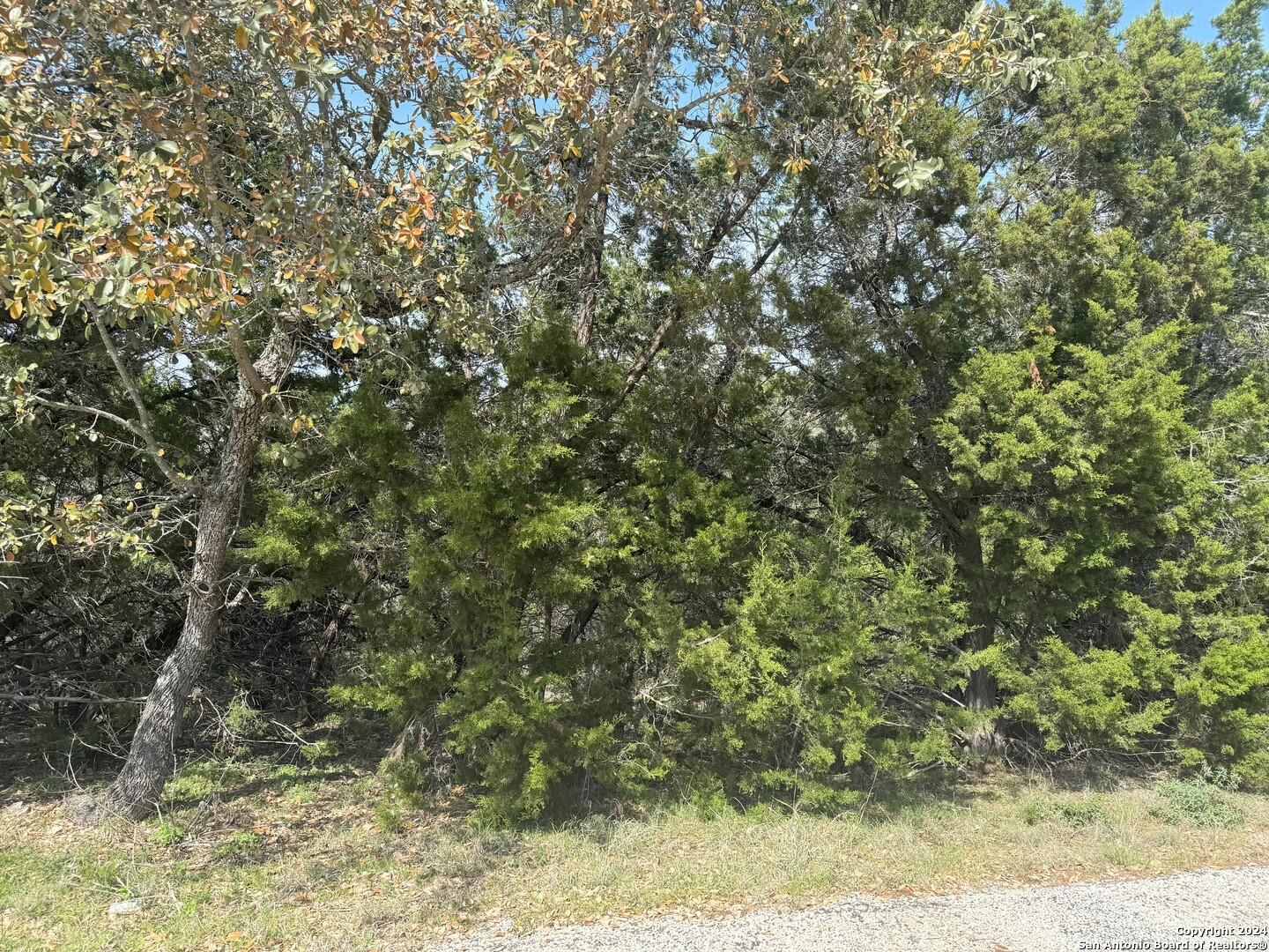 397 Cedar Drive Canyon Lake TX 78133