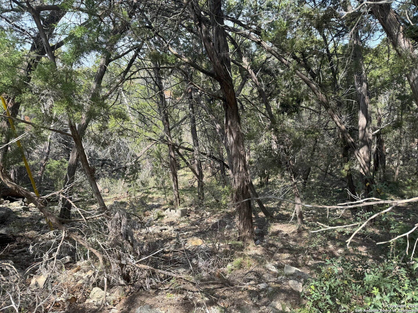 397 Cedar Drive Canyon Lake TX 78133